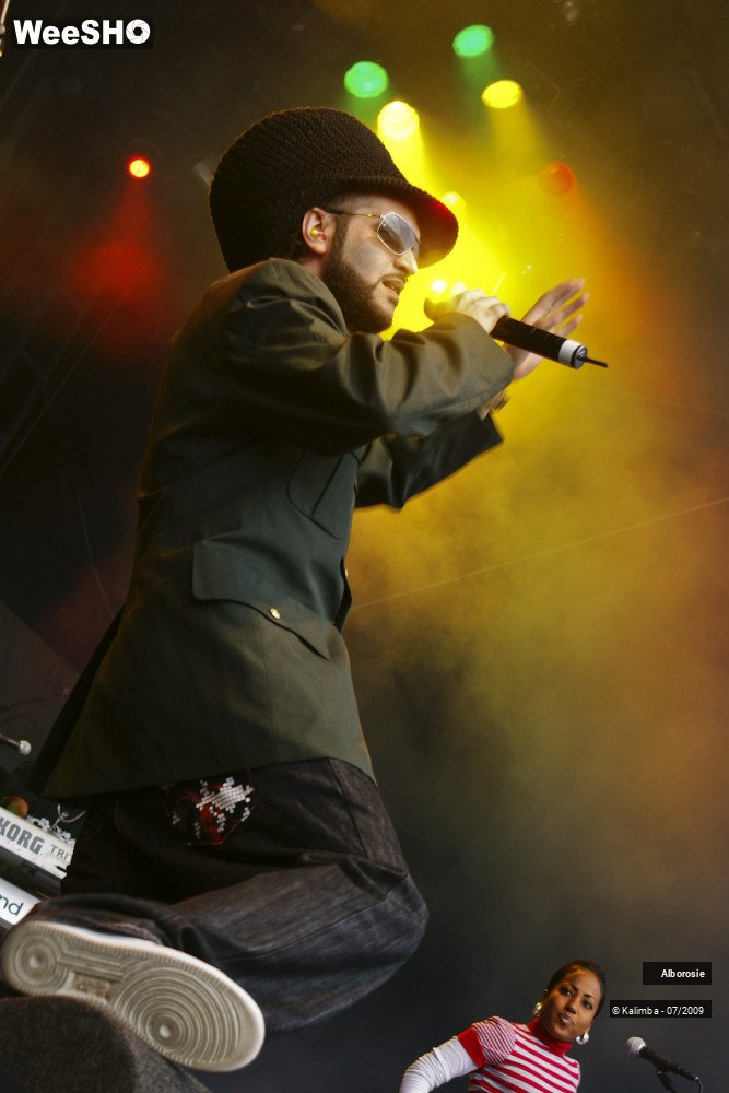 2/47 photos du spectacle Alborosie