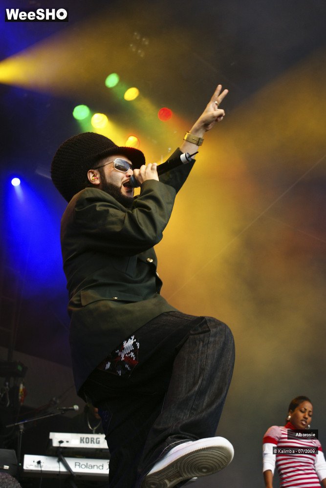 5/47 photos du spectacle Alborosie