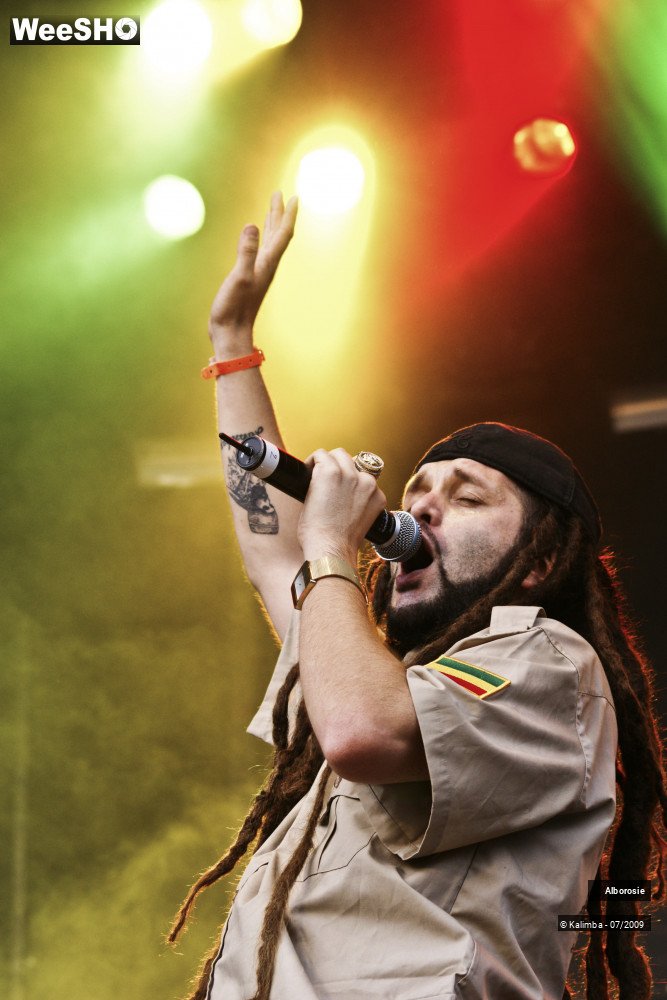 8/47 photos du spectacle Alborosie