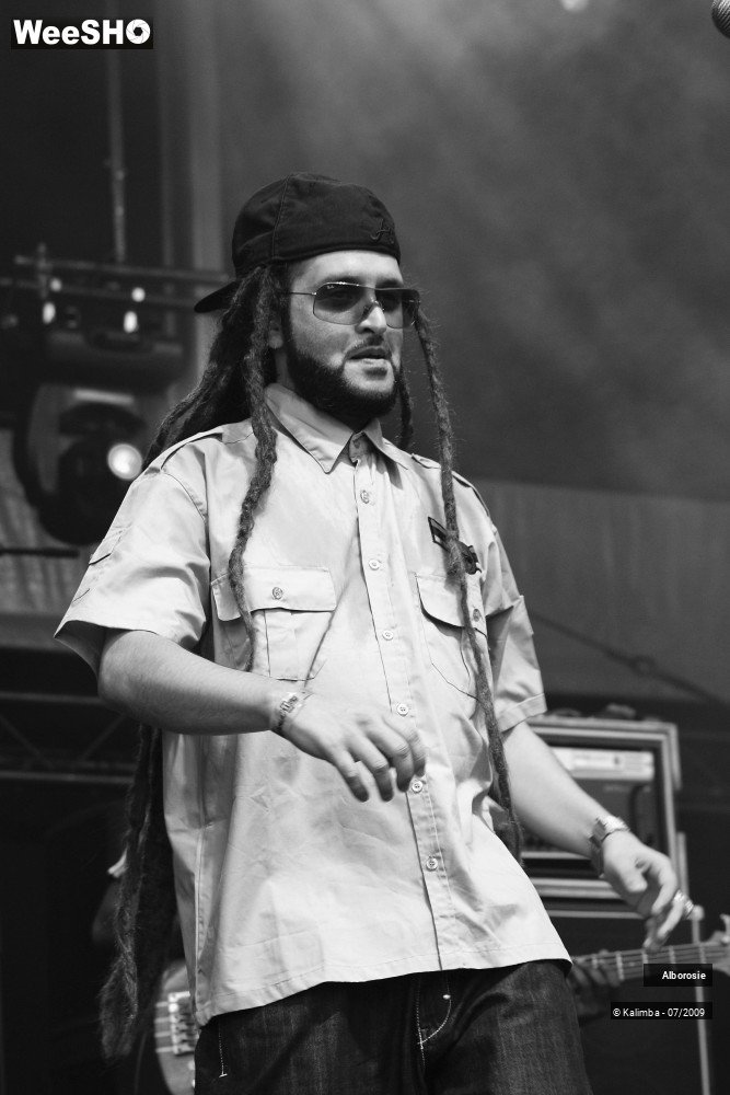 9/47 photos du spectacle Alborosie