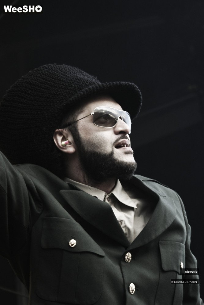 11/47 photos du spectacle Alborosie