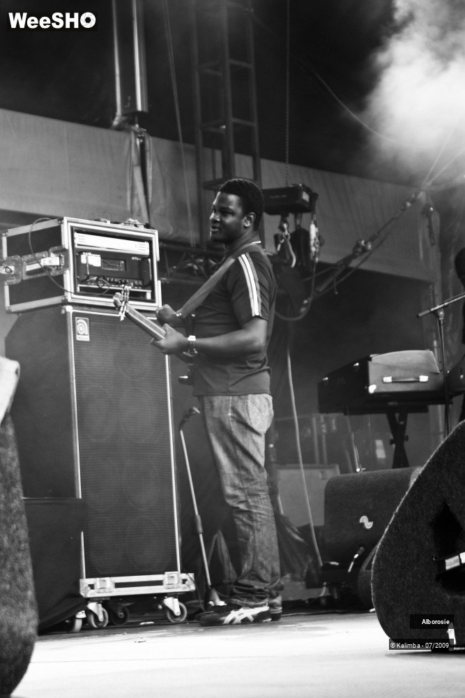 14/47 photos du spectacle Alborosie