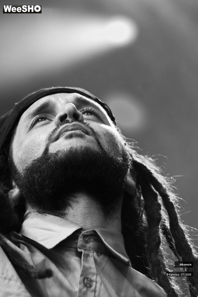 17/47 photos du spectacle Alborosie