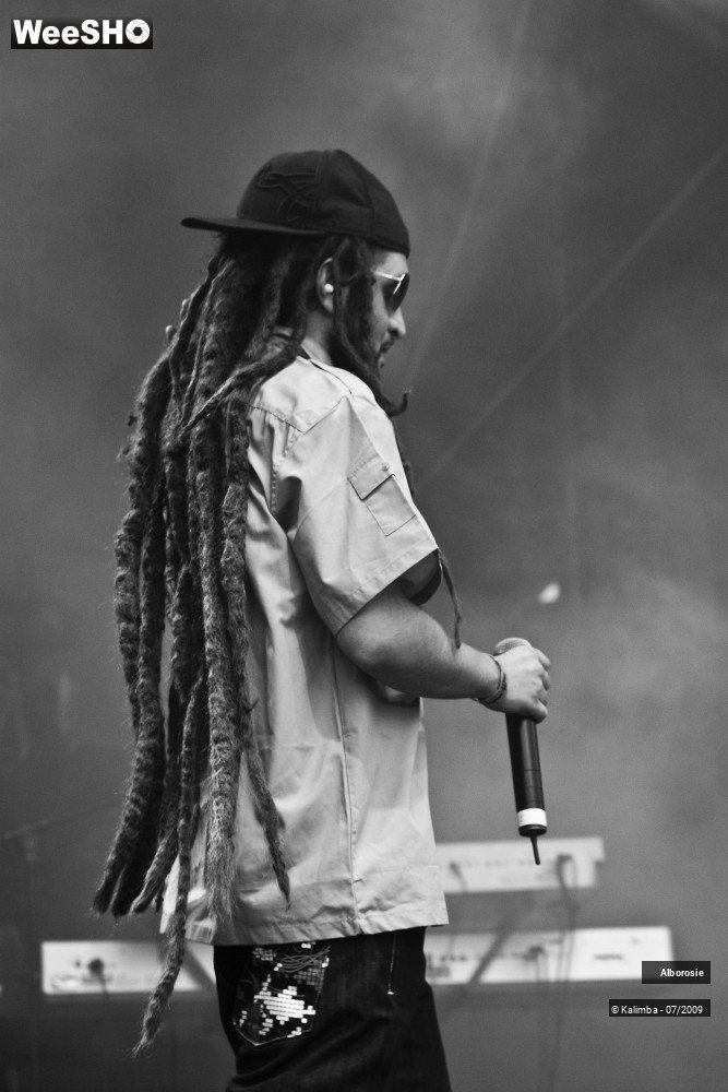 18/47 photos du spectacle Alborosie