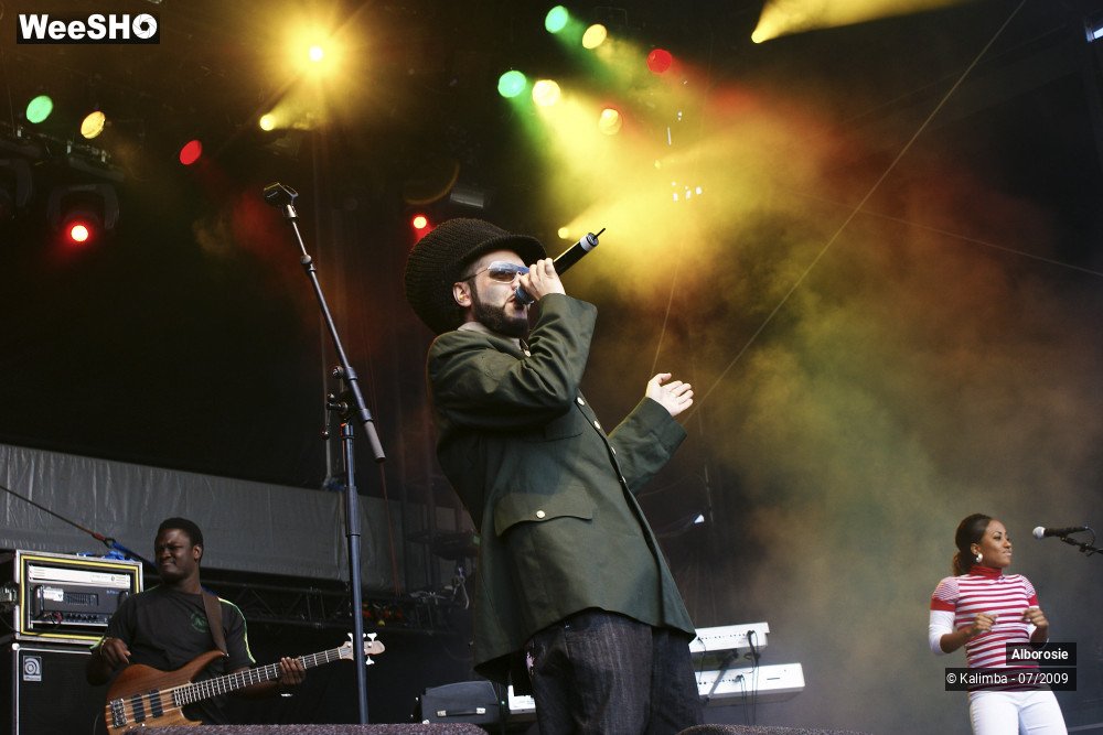 21/47 photos du spectacle Alborosie