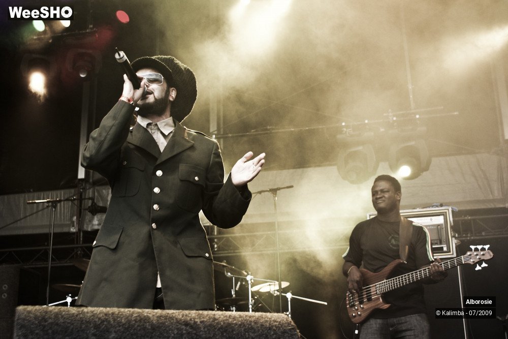 26/47 photos du spectacle Alborosie