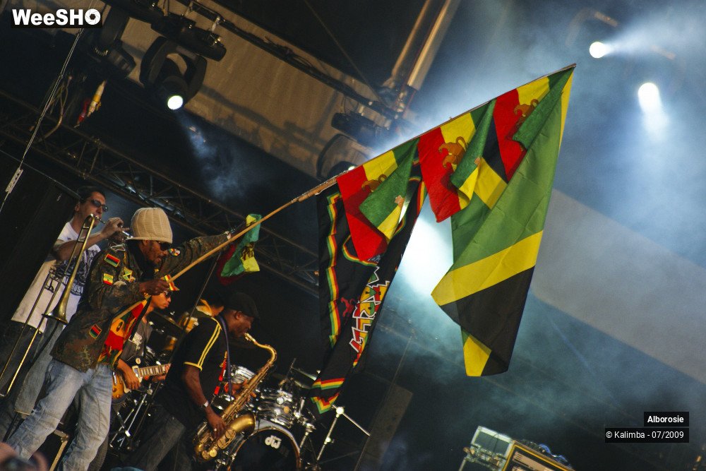 30/47 photos du spectacle Alborosie