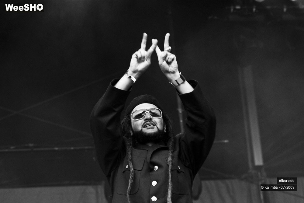 33/47 photos du spectacle Alborosie