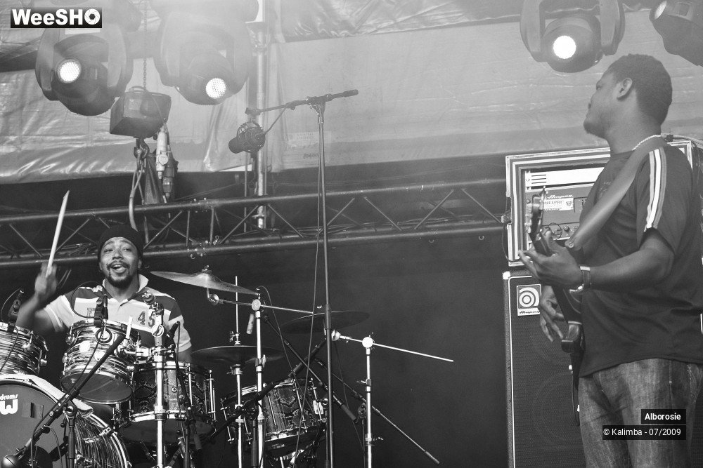 42/47 photos du spectacle Alborosie