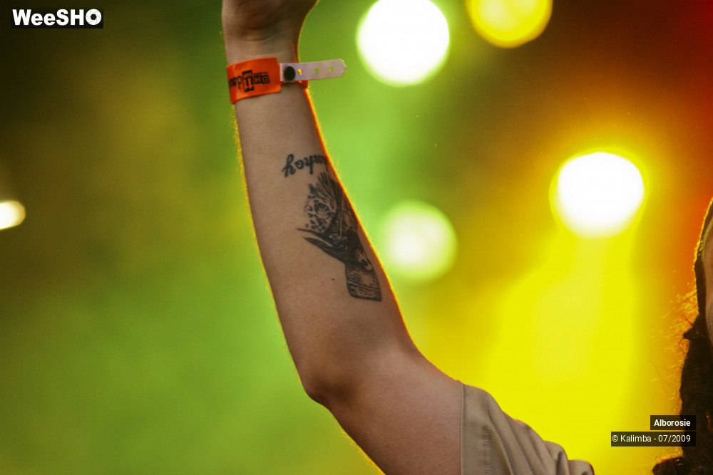 44/47 photos du spectacle Alborosie