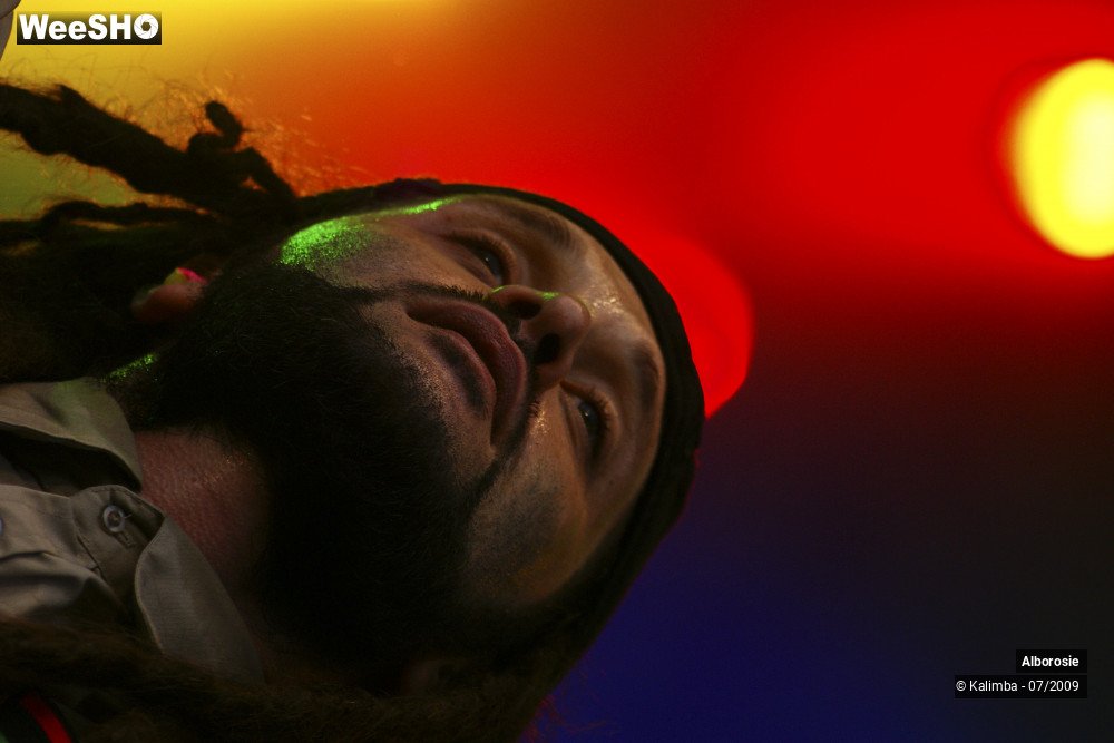 46/47 photos du spectacle Alborosie