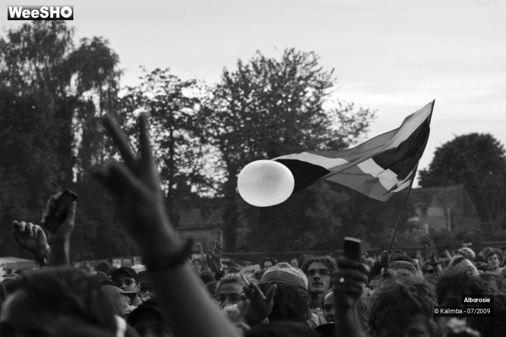 47/47 photos du spectacle Alborosie