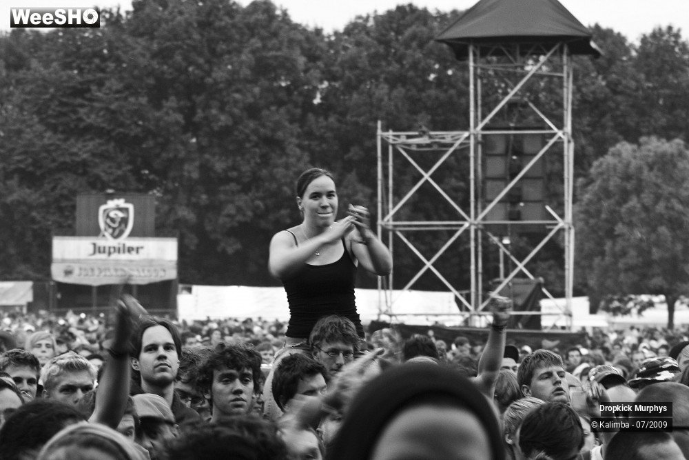 10/13 photos du spectacle Dropkick Murphys