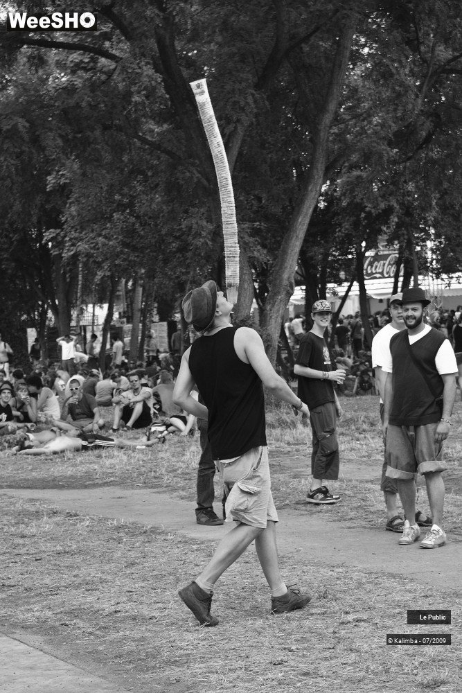 5/50 photos du spectacle Festival de Dour Ambiance 3