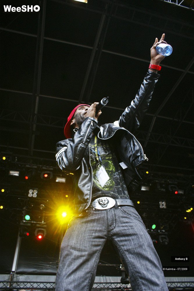6/32 photos du spectacle Anthony B