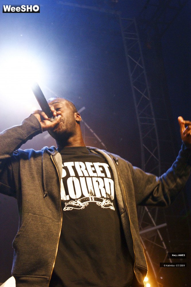 8/41 photos du spectacle Kery James