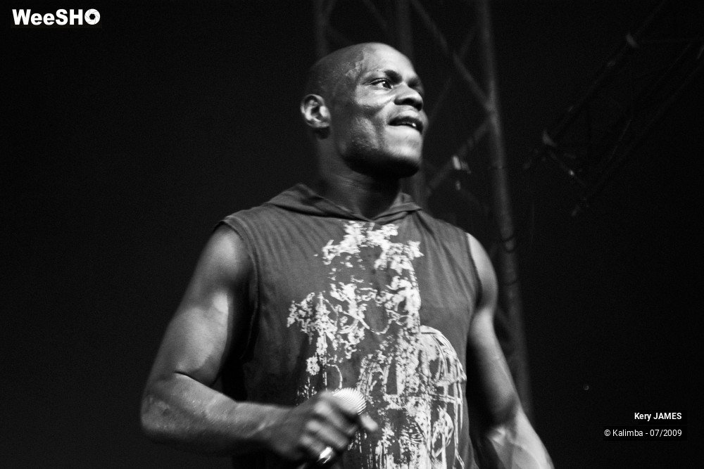 17/41 photos du spectacle Kery James