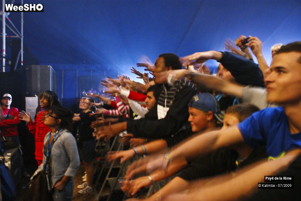15/19 photos du spectacle Psy4 de la Rime