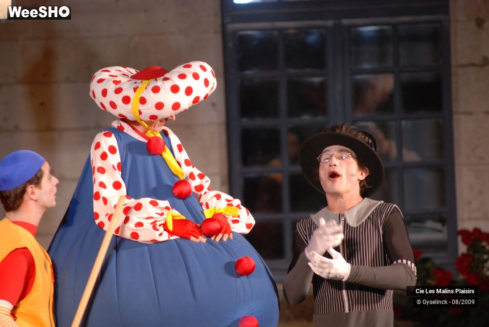 19/32 photos du spectacle Les Muses Buissonnières
