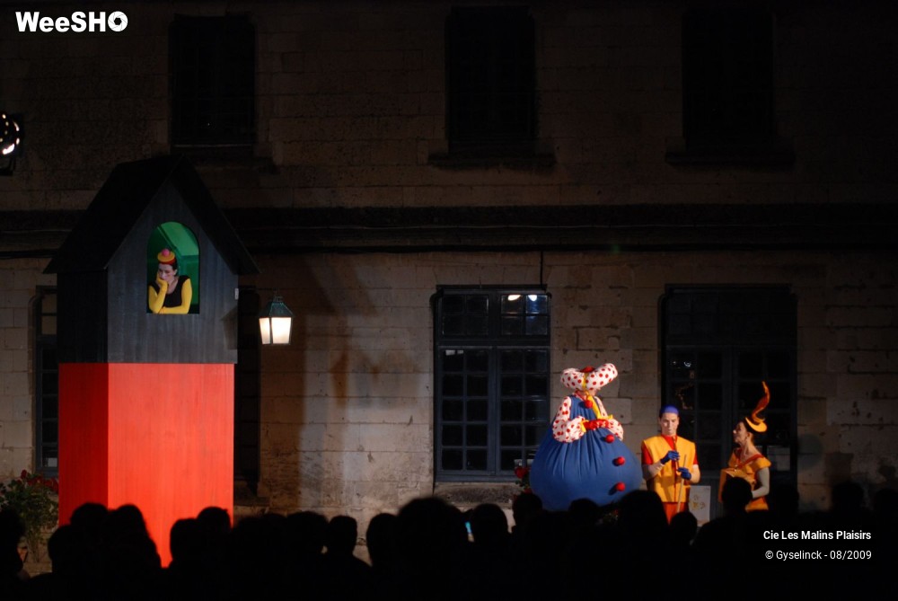 28/32 photos du spectacle Les Muses Buissonnières