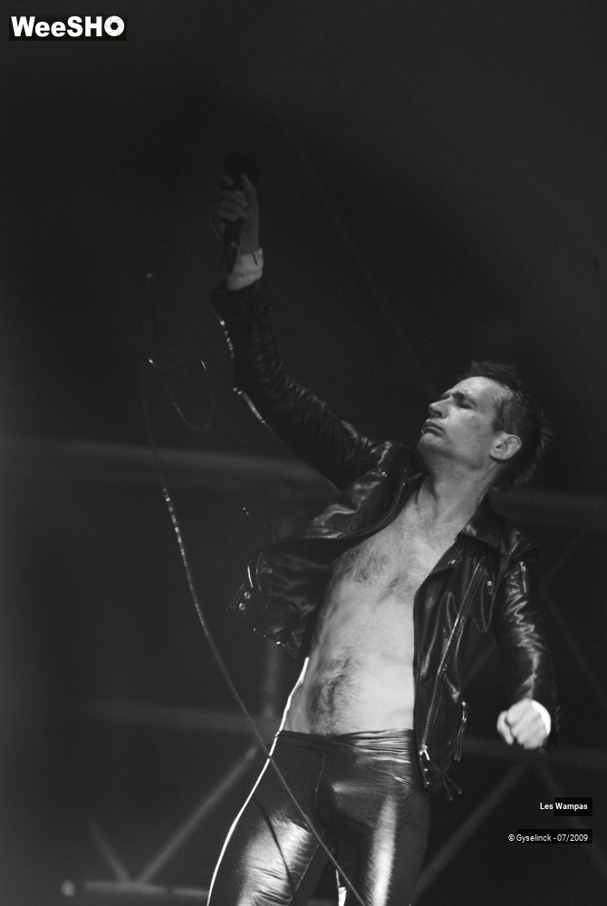 6/33 photos du spectacle Les Wampas