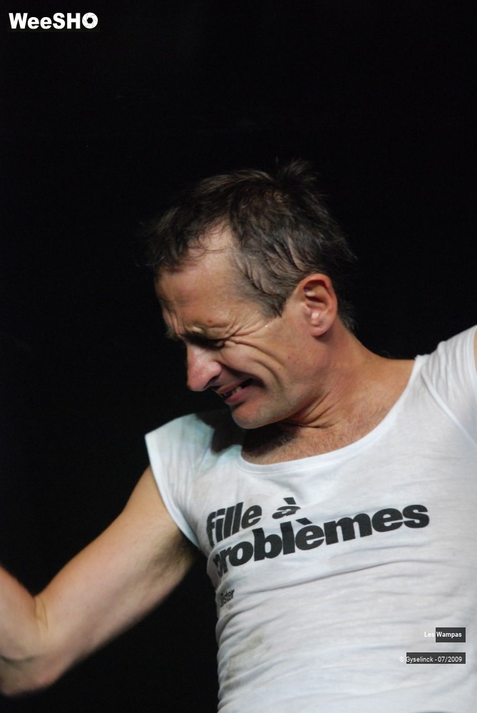11/33 photos du spectacle Les Wampas