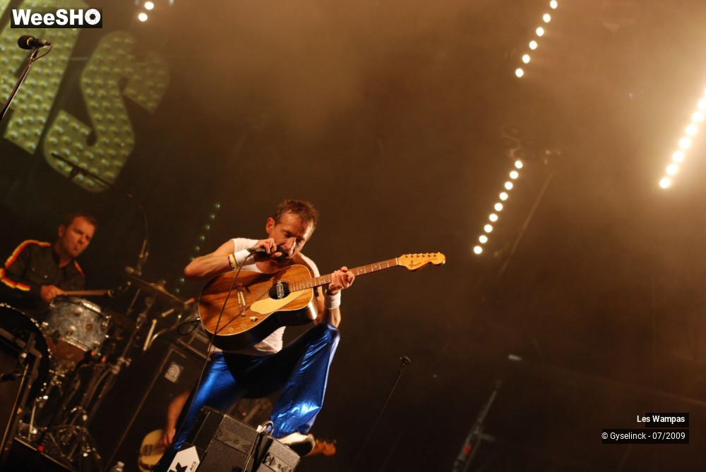 13/33 photos du spectacle Les Wampas