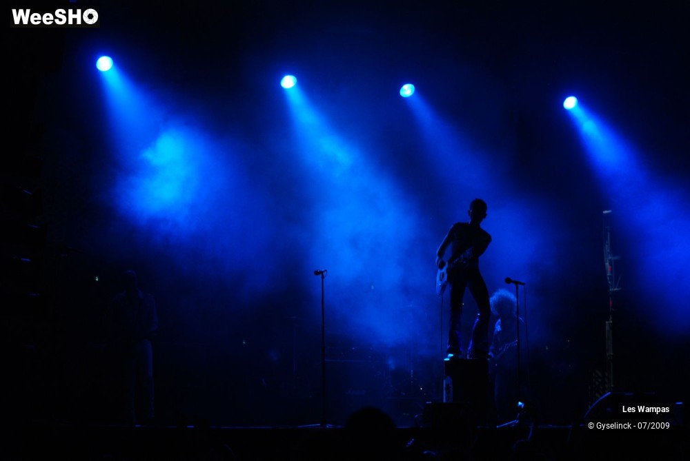 15/33 photos du spectacle Les Wampas