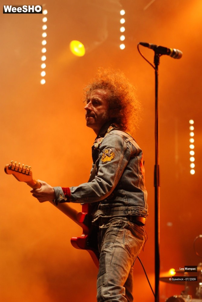 21/33 photos du spectacle Les Wampas