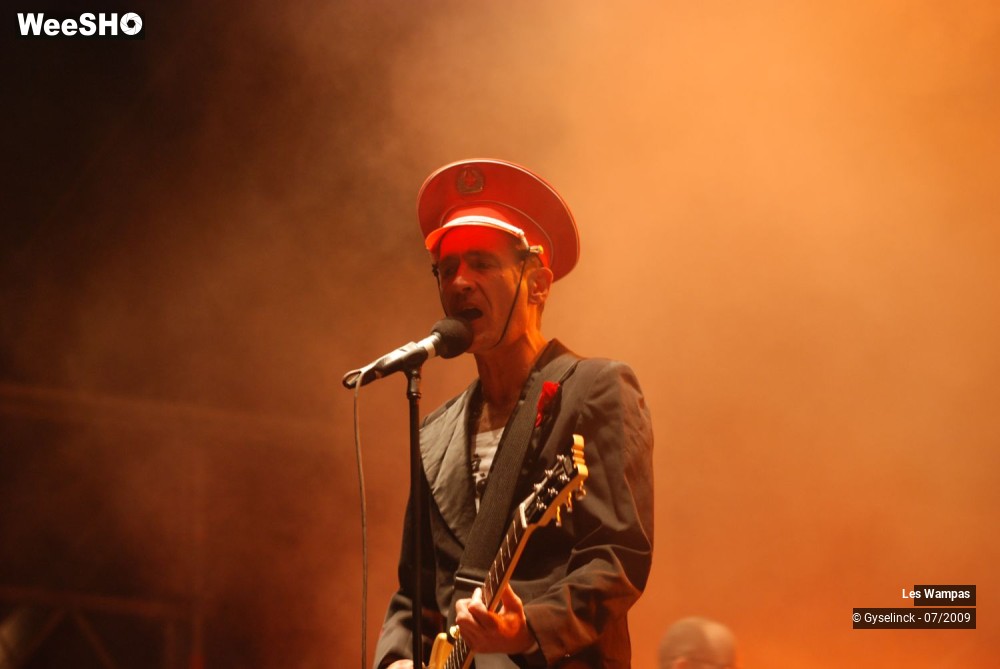 22/33 photos du spectacle Les Wampas