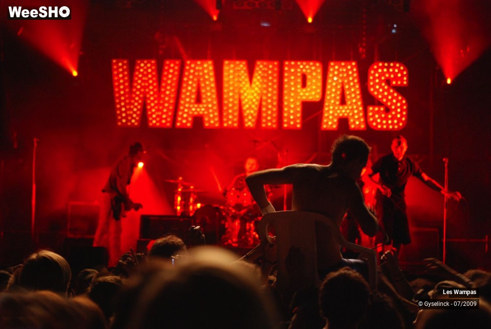 27/33 photos du spectacle Les Wampas