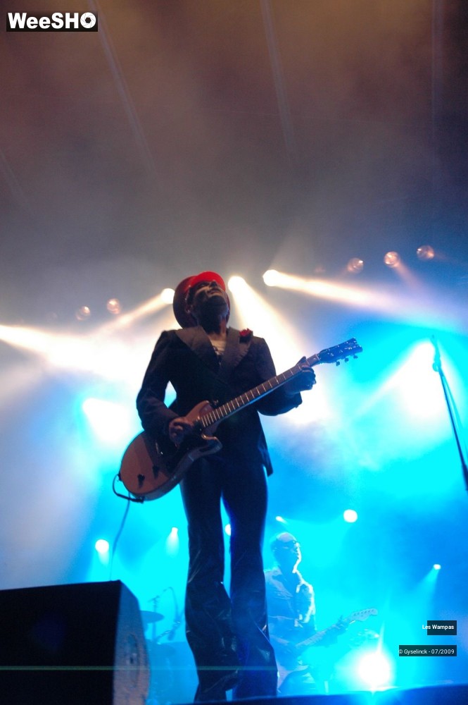 29/33 photos du spectacle Les Wampas