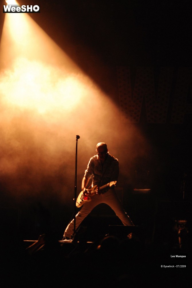 30/33 photos du spectacle Les Wampas