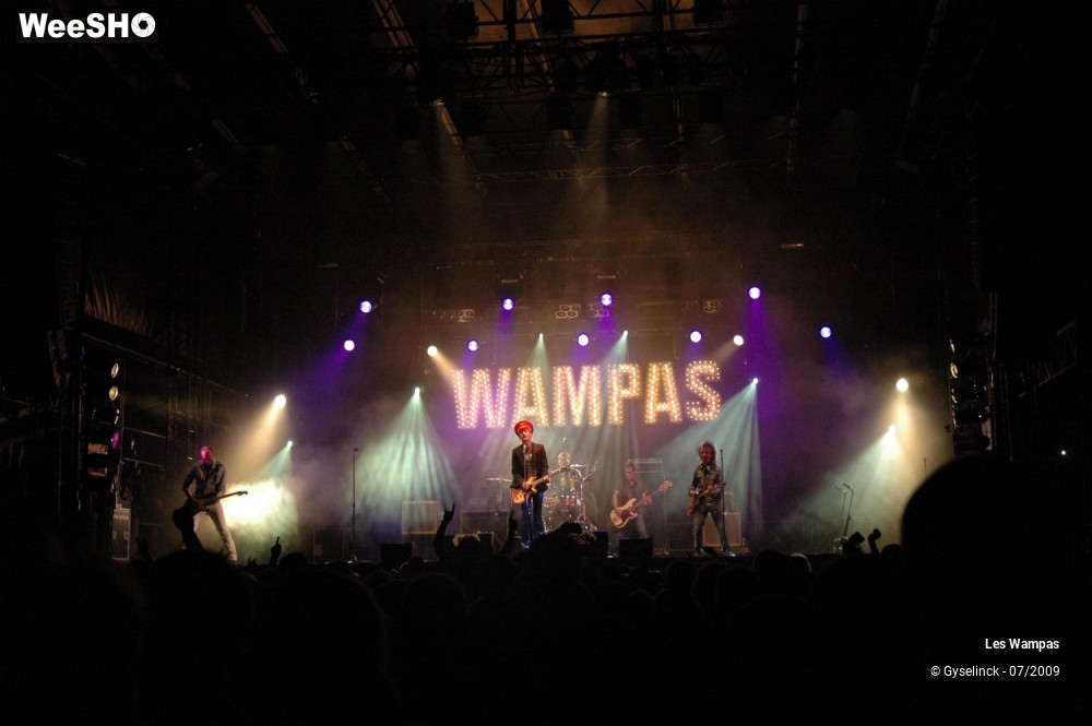 31/33 photos du spectacle Les Wampas