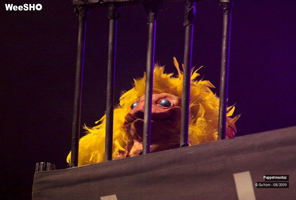 22/46 photos du spectacle Puppetmastaz