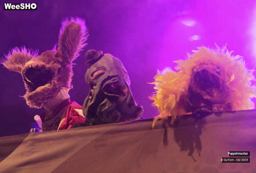 26/46 photos du spectacle Puppetmastaz