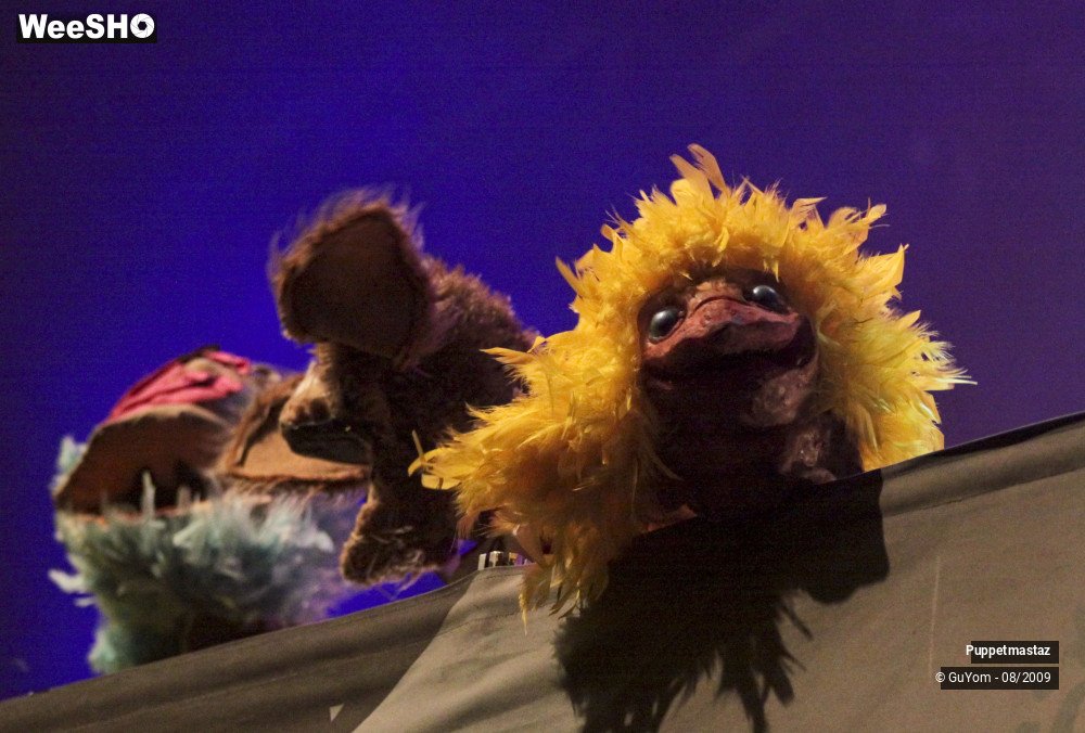 30/46 photos du spectacle Puppetmastaz