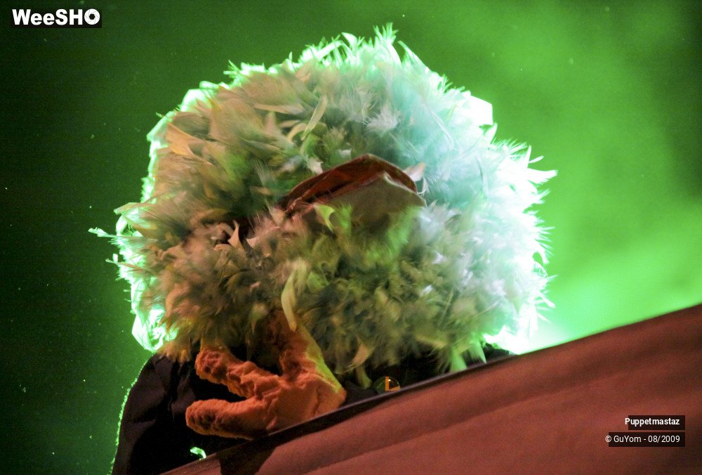 31/46 photos du spectacle Puppetmastaz