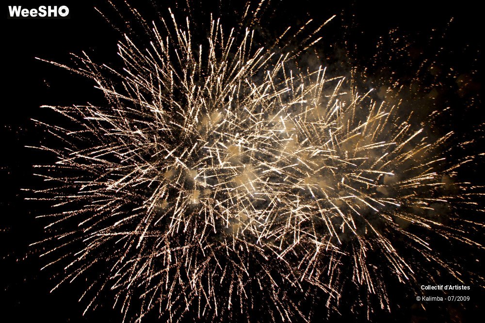 32/40 photos du spectacle Parade de Feu