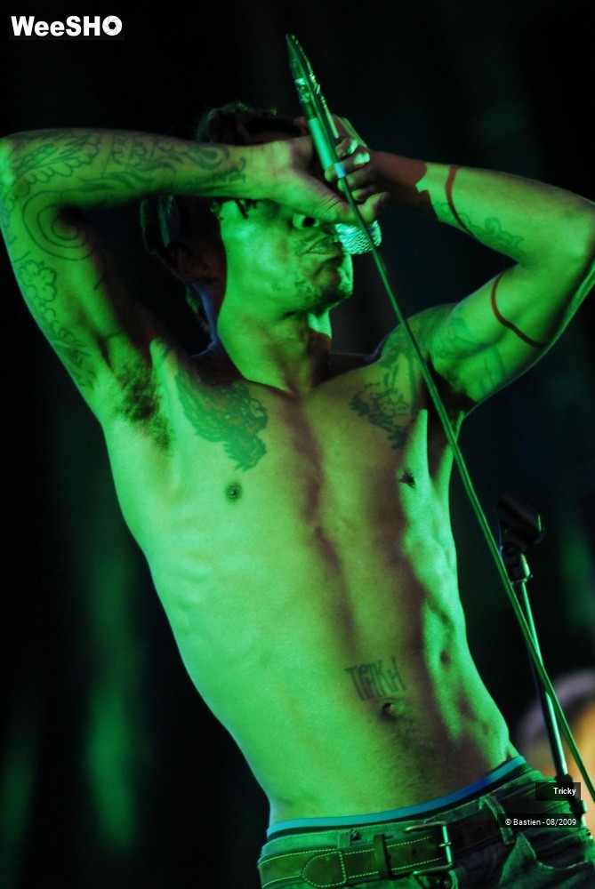 19/41 photos du spectacle Tricky