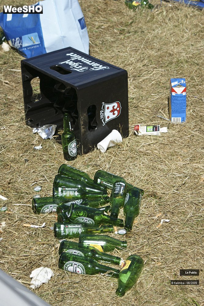 12/41 photos du spectacle Cabaret Vert Camping