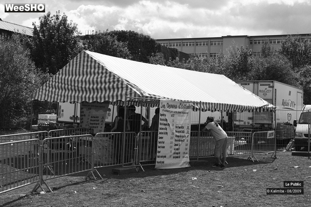 25/41 photos du spectacle Cabaret Vert Camping