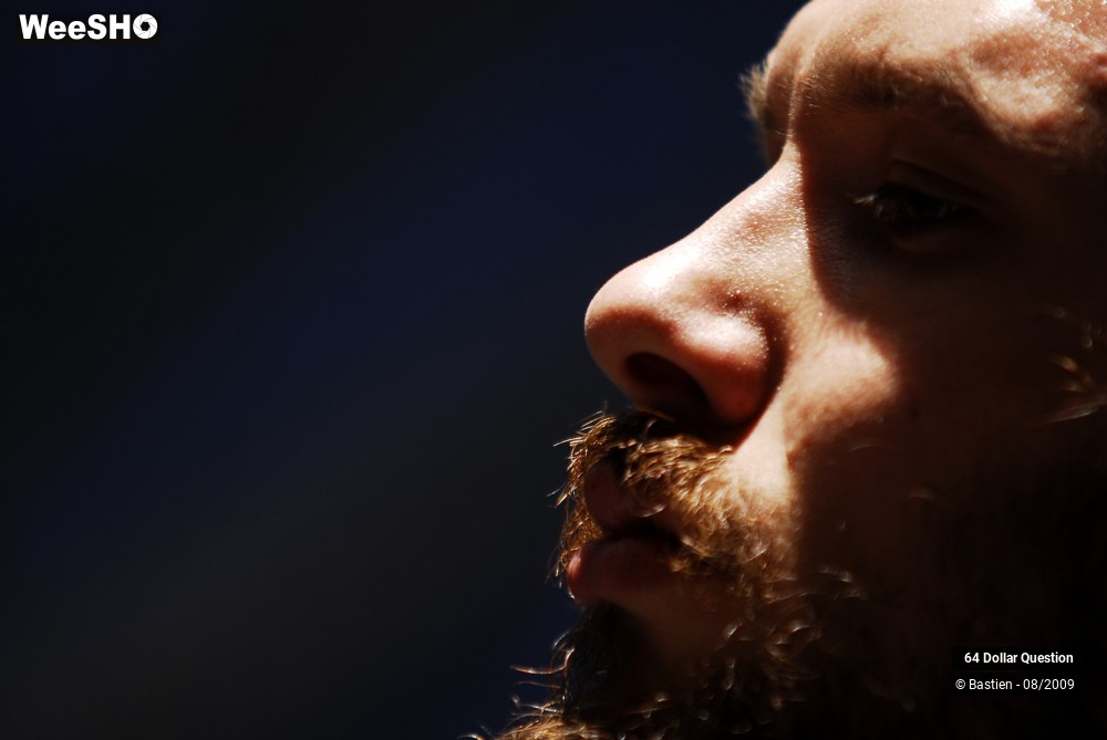 47/64 photos du spectacle 64 Dollar Question