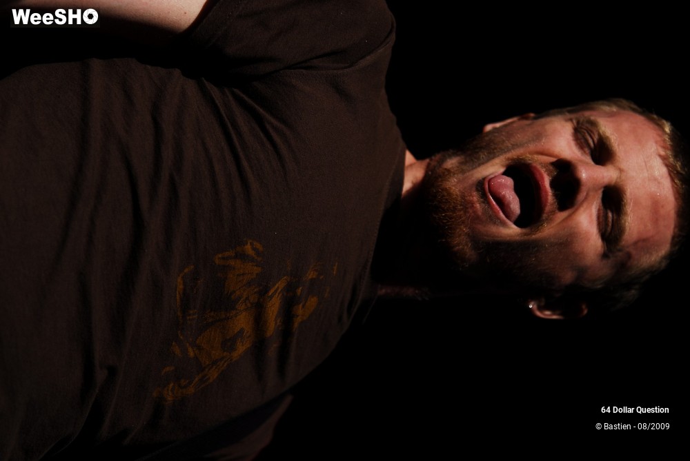 48/64 photos du spectacle 64 Dollar Question