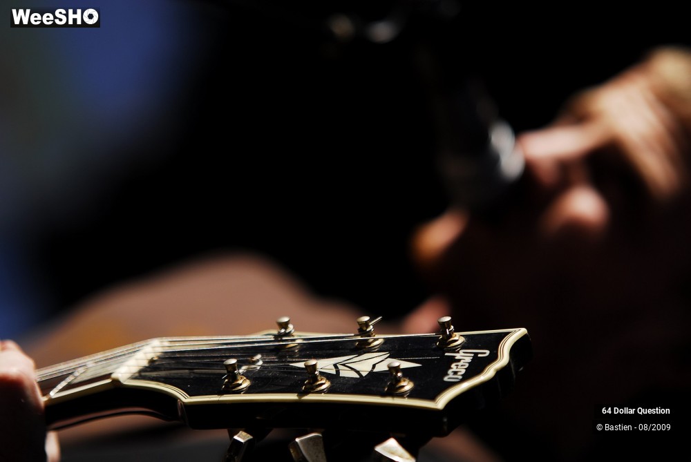 50/64 photos du spectacle 64 Dollar Question