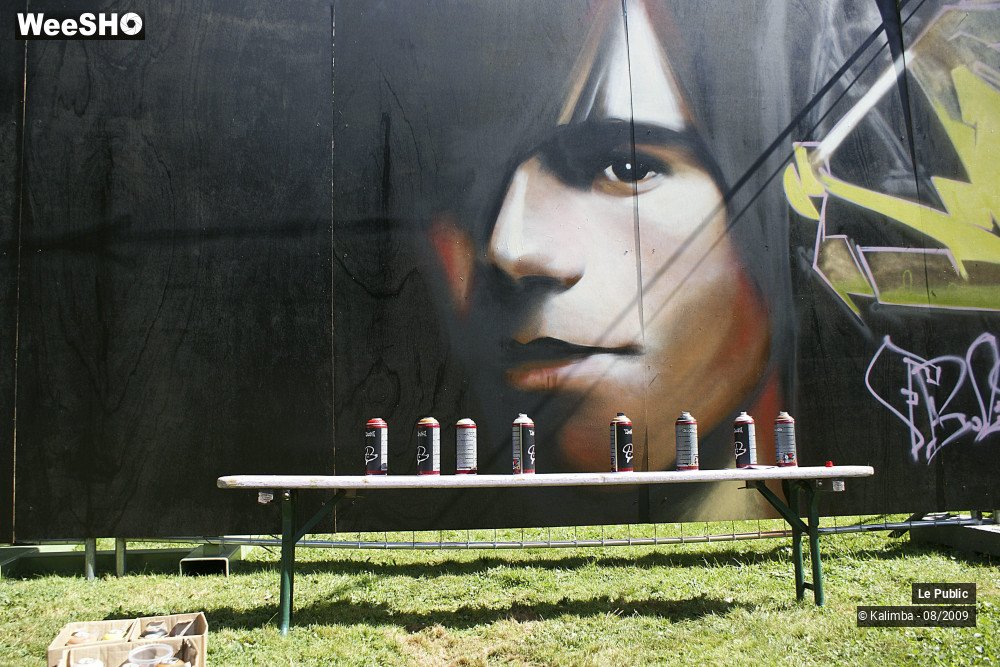 30/44 photos du spectacle Cabaret Vert Ambiance 2