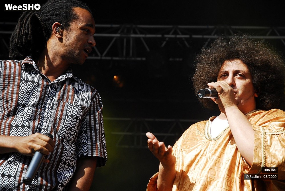 41/41 photos du spectacle Dub Inc