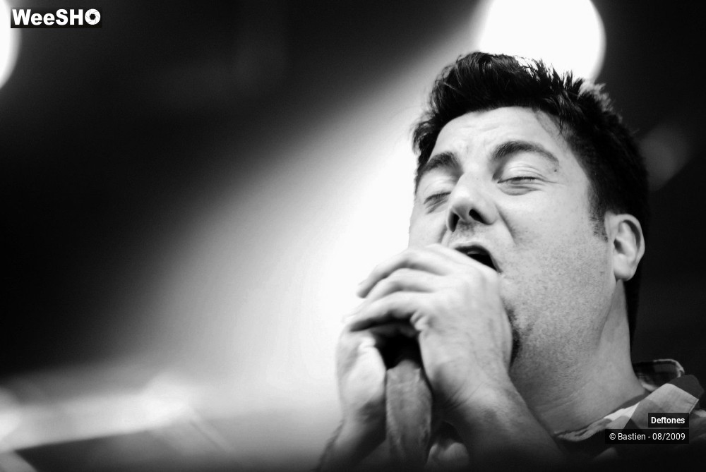32/38 photos du spectacle Deftones