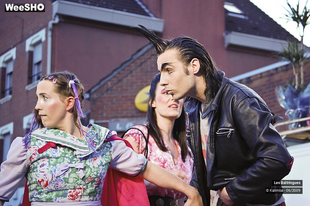 20/50 photos du spectacle La famille Baltringues 1