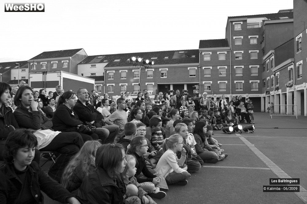 40/50 photos du spectacle La famille Baltringues 1